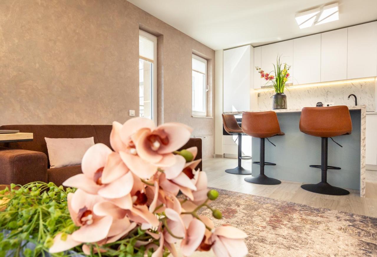 5th Floor Executive With Balcony And Free Parking Apartment Brașov